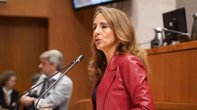 La 'popular' María Navarro, nueva presidenta de las Cortes de Aragón con la abstención de Vox