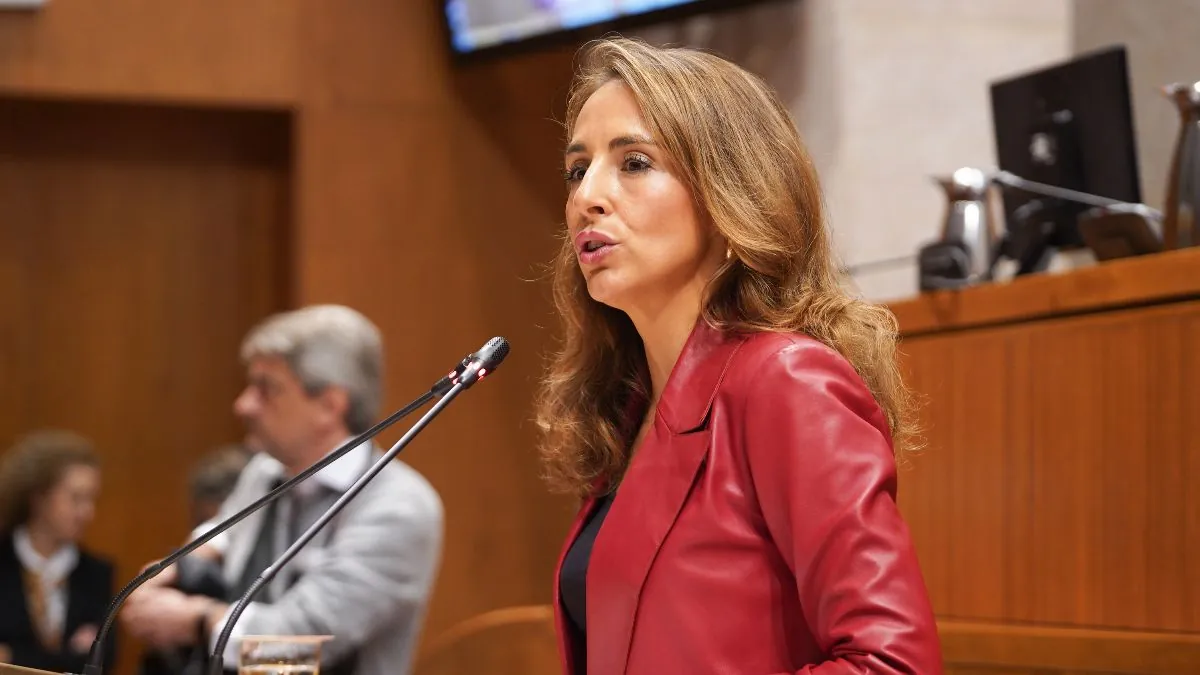 La ‘popular’ María Navarro, nueva presidenta de las Cortes de Aragón con la abstención de Vox