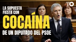 Preguntan a Marlaska sobre la supuesta fiesta con cocaína de un diputado socialista