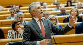 Marlaska censura la «miseria política» del PP tras acusarle de tapar el escándalo del exDAO