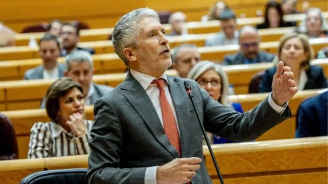 Marlaska nombra al jefe superior de Baleares nuevo DAO de la Policía