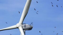 Ribera obligó a frenar un plan para aves en extinción que era incompatible con Forestalia