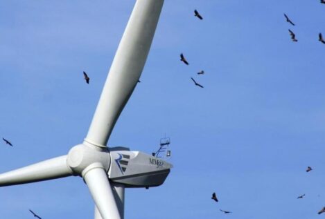 Ribera obligó a frenar un plan para aves en extinción que era incompatible con Forestalia