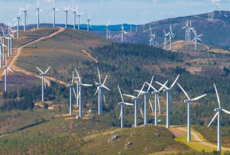 Forestalia dio un pelotazo de 500 millones gracias a una insólita autorización del Gobierno