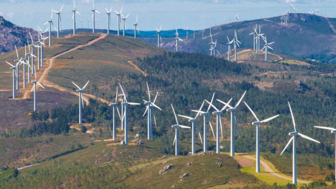 Forestalia dio un pelotazo de 500 millones gracias a una insólita autorización del Gobierno