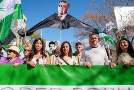 Podemos Andalucía consulta a sus bases para decidir si concurre en una candidatura unitaria