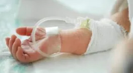 La sacarosa alivia la sensación de dolor en recién nacidos durante punciones hospitalarias