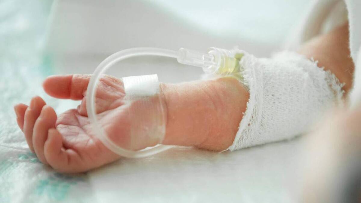 La sacarosa alivia la sensación de dolor en recién nacidos durante punciones hospitalarias