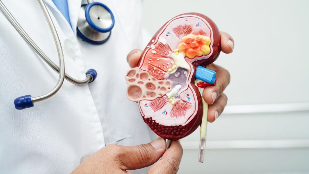Los hospitales Quirónsalud del Sermas en 2025 detectaron 424 casos de enfermedad renal