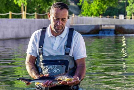 Riofrío, de cerca y en Granada, permite visitar la producción del primer caviar ecológico