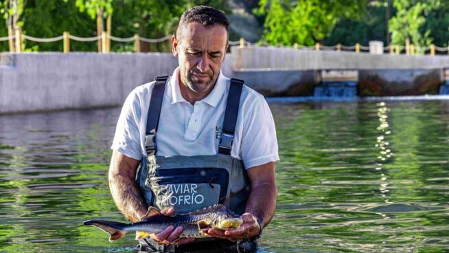 Riofrío, de cerca y en Granada, permite visitar la producción del primer caviar ecológico