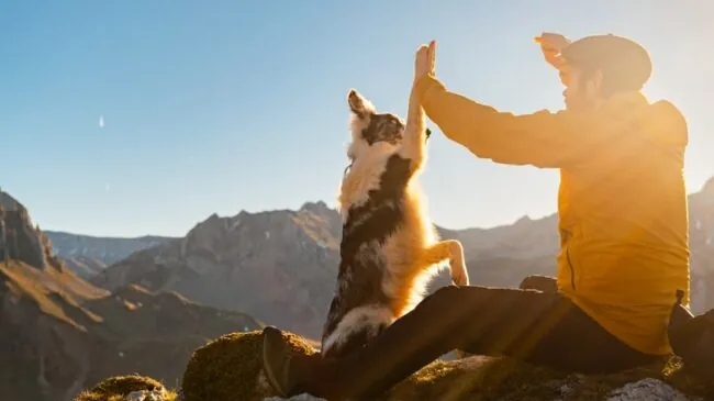 

¿Pueden los animales predecir el clima? La ciencia despeja la incógnita 


