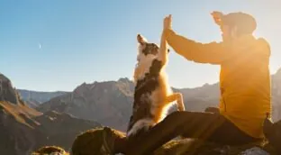 ¿Pueden los animales predecir el clima? La ciencia despeja la incógnita
