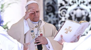 León XIV insta a la esperanza ante la violencia de la guerra «que mata y destruye»