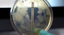 Meningitis B: qué se sabe tras el brote en Reino Unido y la situación en España