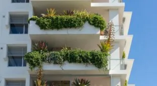 Si tienes plantas en tu balcón o terraza y sus ramas se cuelan donde el vecino, puede exigir que las cortes acogiéndose al Código Civil