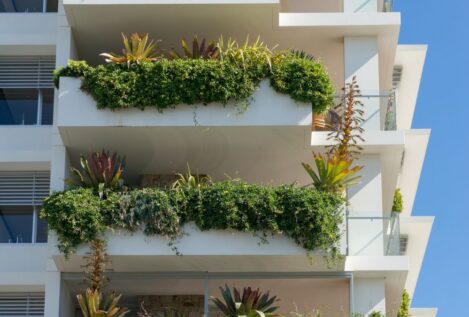 Si tienes plantas en tu balcón o terraza y sus ramas se cuelan donde el vecino, puede exigir que las cortes acogiéndose al Código Civil