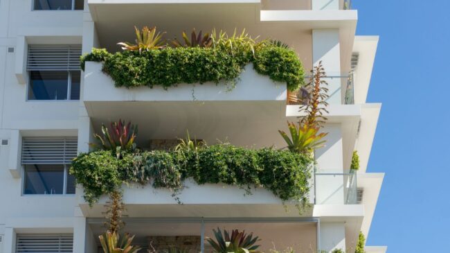 Si tienes plantas en tu balcón o terraza y sus ramas se cuelan donde el vecino, puede exigir que las cortes acogiéndose al Código Civil