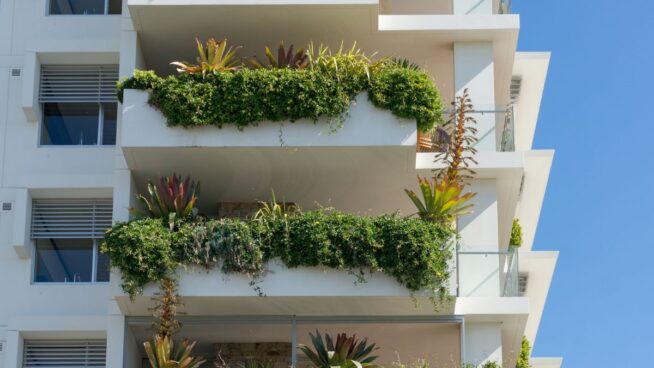 Si tienes plantas en tu balcón o terraza y sus ramas se cuelan donde el vecino, puede exigir que las cortes acogiéndose al Código Civil