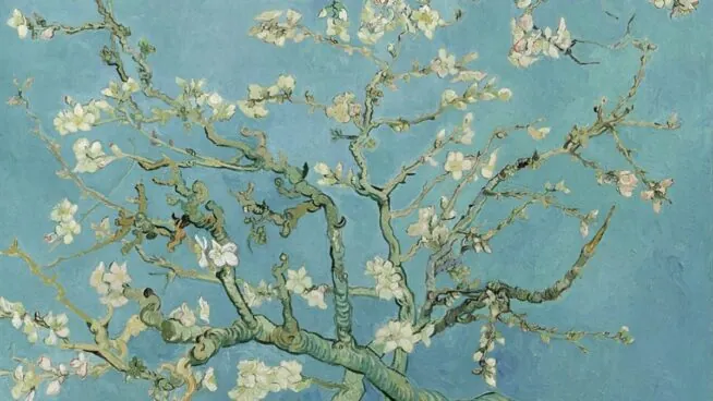 Lo bello, lo bonito, lo terrible