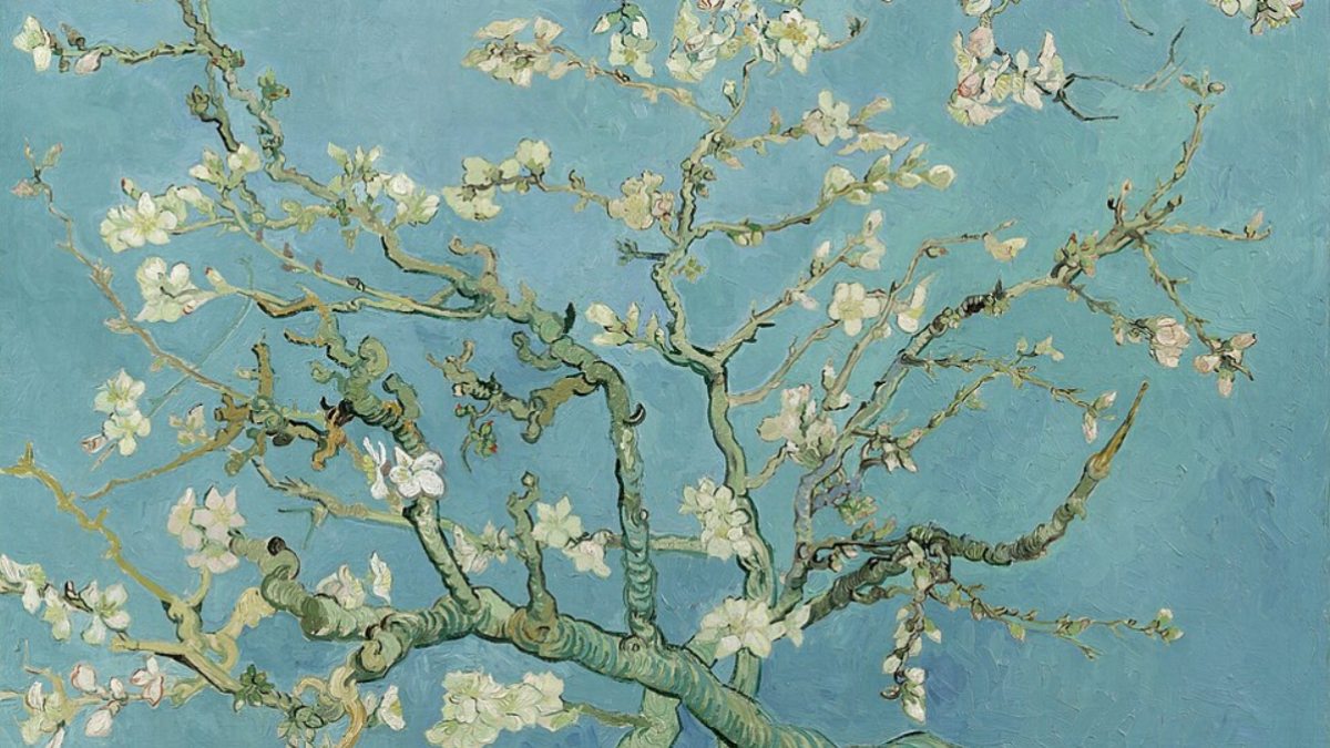 Lo bello, lo bonito, lo terrible