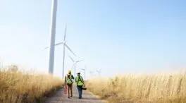 Indra logra reducir en un 85% la muerte de murciélagos en parques eólicos