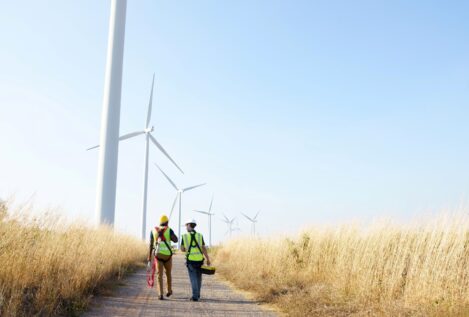 Indra logra reducir en un 85% la muerte de murciélagos en parques eólicos