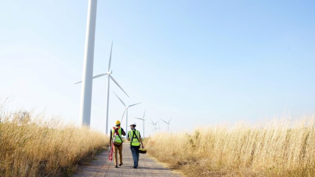 Indra logra reducir en un 85% la muerte de murciélagos en parques eólicos