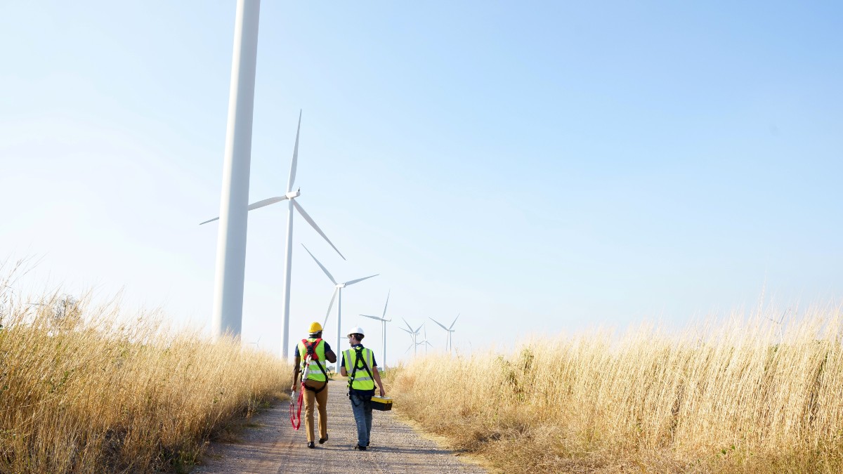 Indra logra reducir en un 85% la muerte de murciélagos en parques eólicos