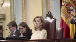 El apoyo del Constitucional impulsa un frente cívico contra el bloqueo de leyes en las Cortes