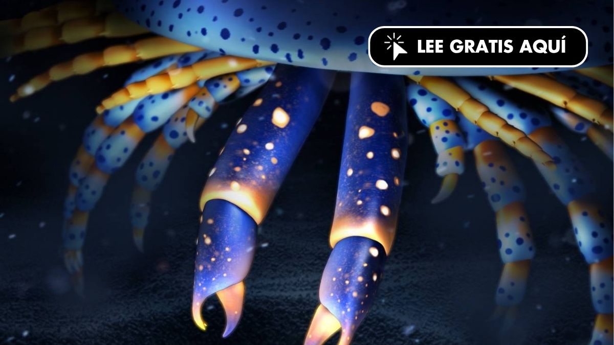 Un artrópodo marino de hace 500 millones de años es el ancestro de arañas y cangrejos