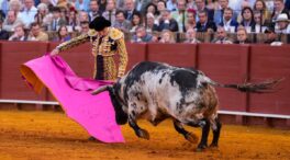 David de Miranda, de estar postrado en una silla de ruedas a conquistar el toreo en Sevilla