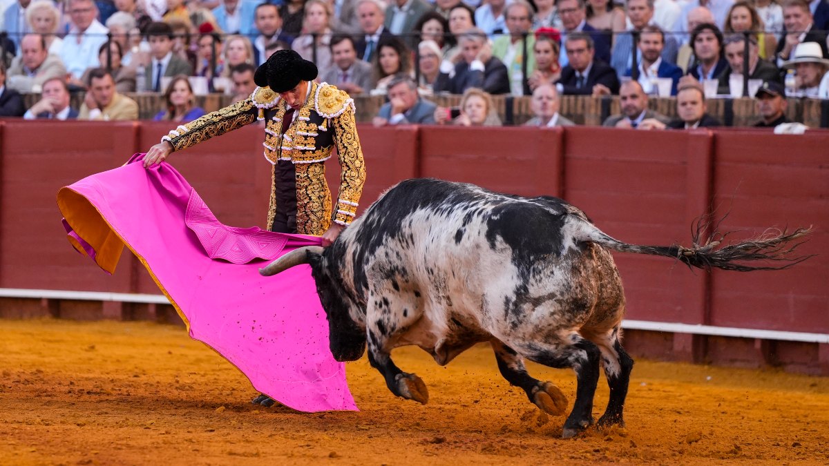 David de Miranda, de estar postrado en una silla de ruedas a conquistar el toreo en Sevilla