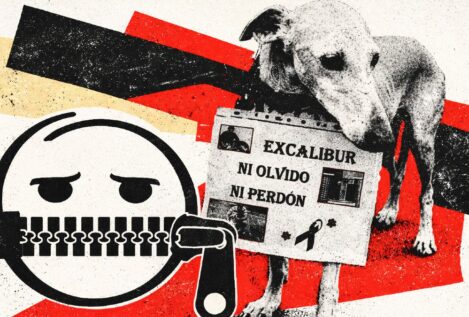 Carta abierta al español ensimismado