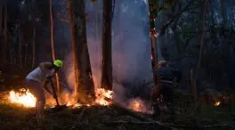 Ascienden a 900 las hectáreas calcinadas en los incendios de Ponteareas y Carballo