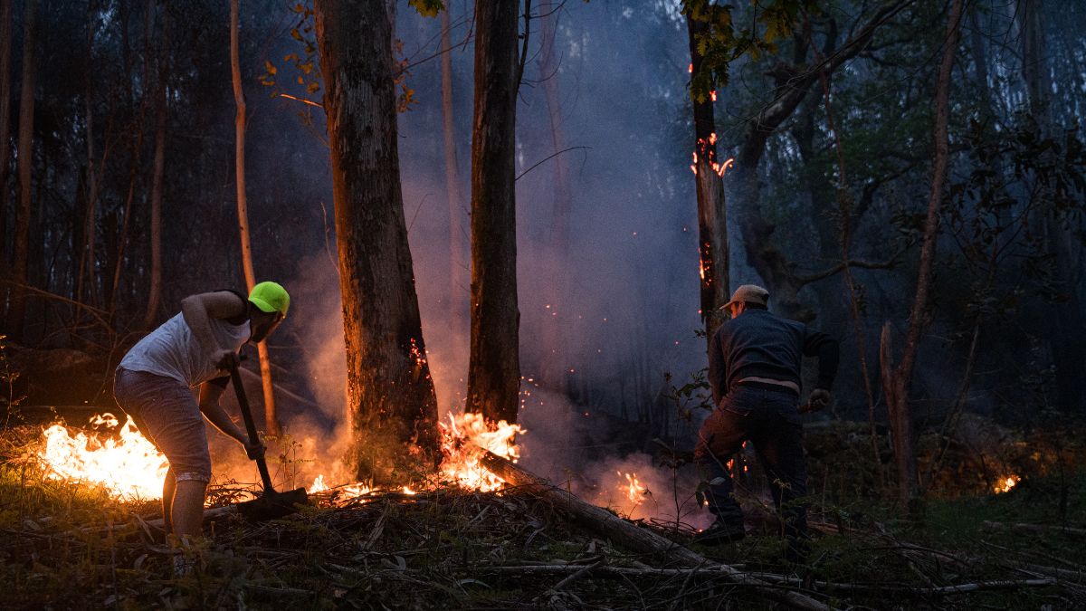 Ascienden a 900 las hectáreas calcinadas en los incendios de Ponteareas y Carballo