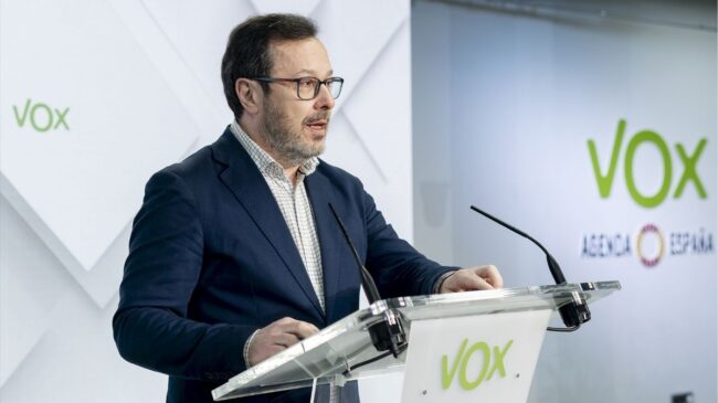 Vox «apretará un poco más» al PP en Castilla y León porque tiene más fuerza en la comunidad