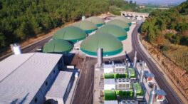 El Grupo Griñó supera los 300 millones de euros de facturación en 2025