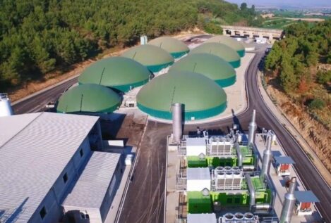 El Grupo Griñó supera los 300 millones de euros de facturación en 2025