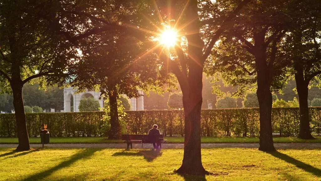 hombre-triste-felicidad-cyrulnik-parque