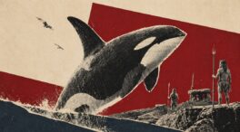 Spania, el reino de las orcas