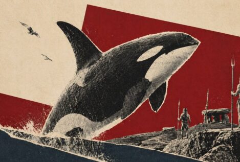Spania, el reino de las orcas