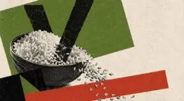 Por qué a Vox se le está pasando el arroz