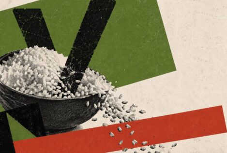 Por qué a Vox se le está pasando el arroz