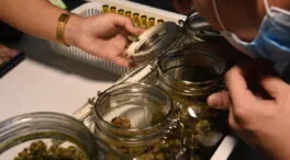 Estados Unidos reclasifica la marihuana medicinal como una droga de menor riesgo