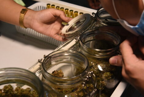 Estados Unidos reclasifica la marihuana medicinal como una droga de menor riesgo