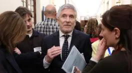 Interior niega que aparte a la Policía y dice que «nadie con antecedentes será regularizado»