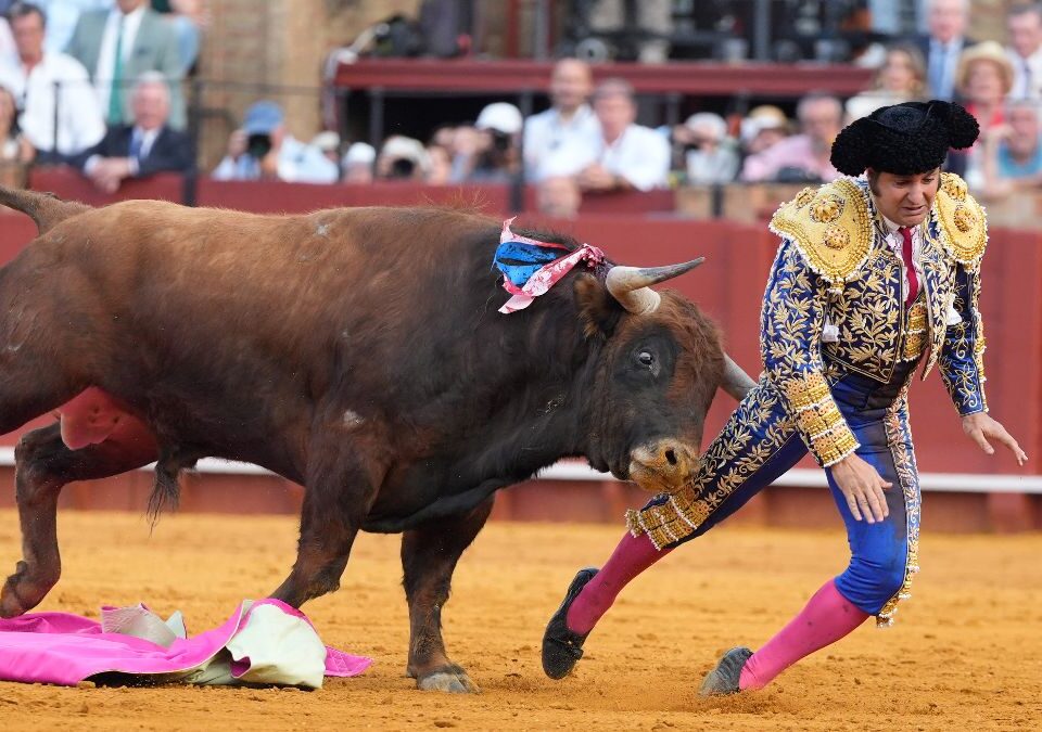 La terrible cogida a Morante de la Puebla en la Maestranza de Sevilla, en imágenes