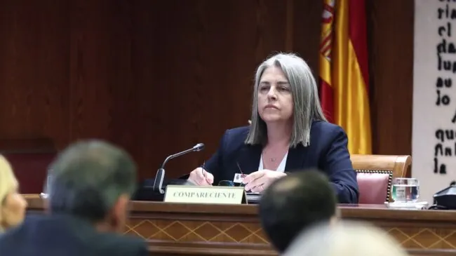 La mujer de Cerdán se niega a declarar y reclama abandonar la comisión del 'caso Koldo'