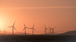 El juez aplaza sin fecha la vista sobre la posible paralización del Clúster del Maestrazgo